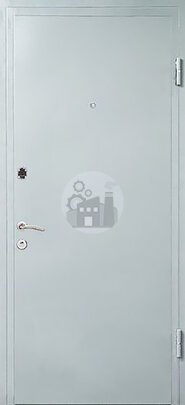 Входная металлическая дверь, окрашенная нитроэмалью, с двумя замками-ДВ-1226